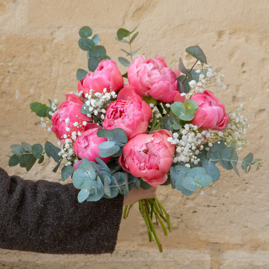 Les belles pivoines